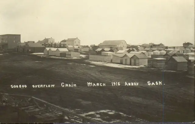 Overflow grain storage at Abbey, March 1916
